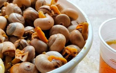 La esquinita del Caracol