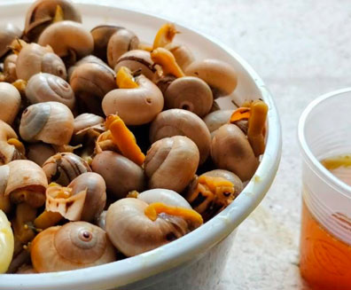 La esquinita del Caracol