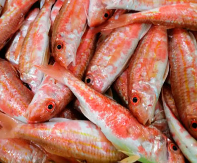 Pescados y mariscos Edu